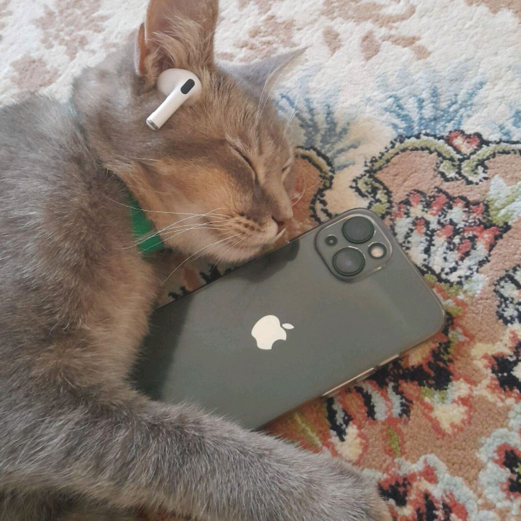 Ру.Кот