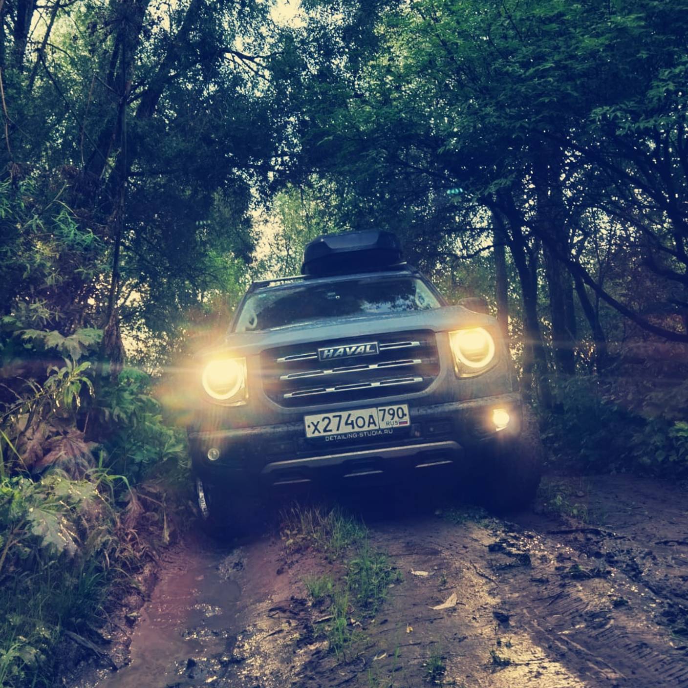 ЖеКа на DARGO