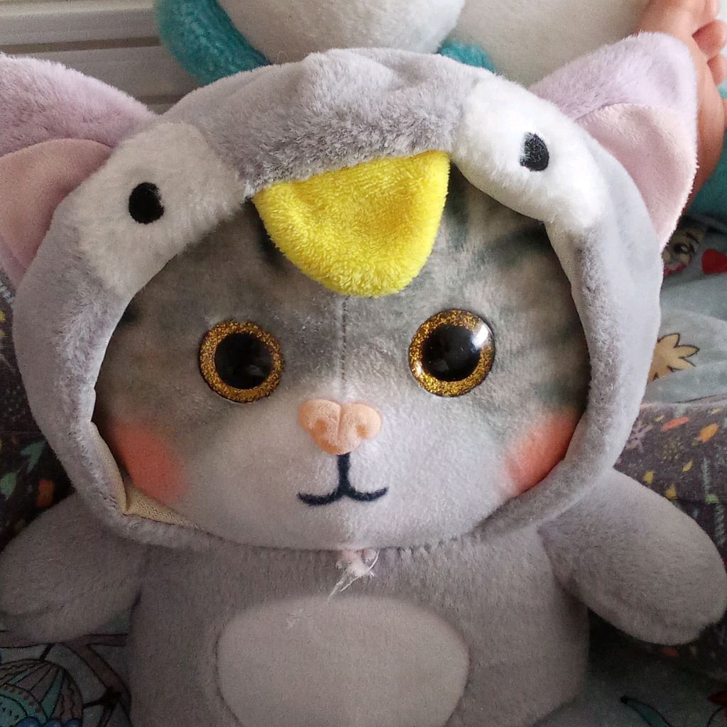 Мила Кира 🩷🐱