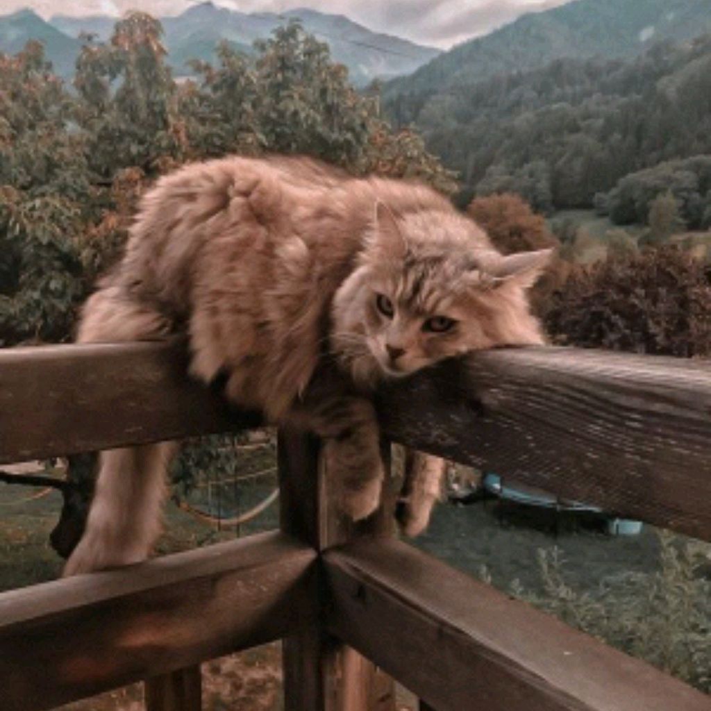 ~Пряник с корицей~
