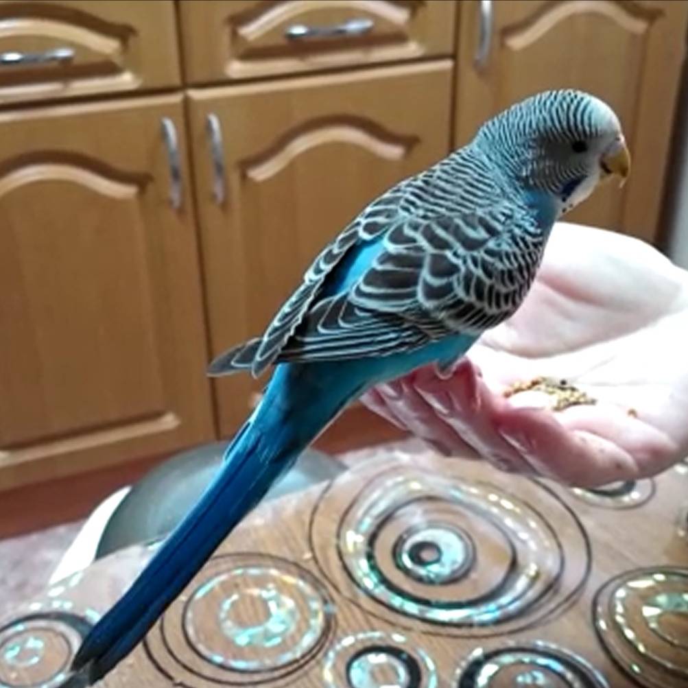 Хобби