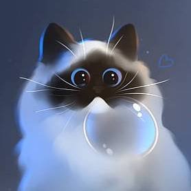 kitti