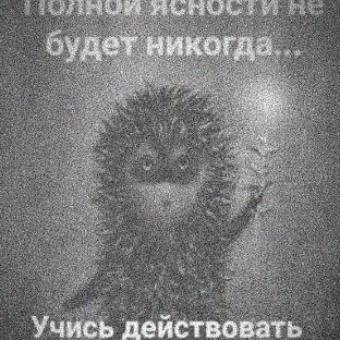 Алекс