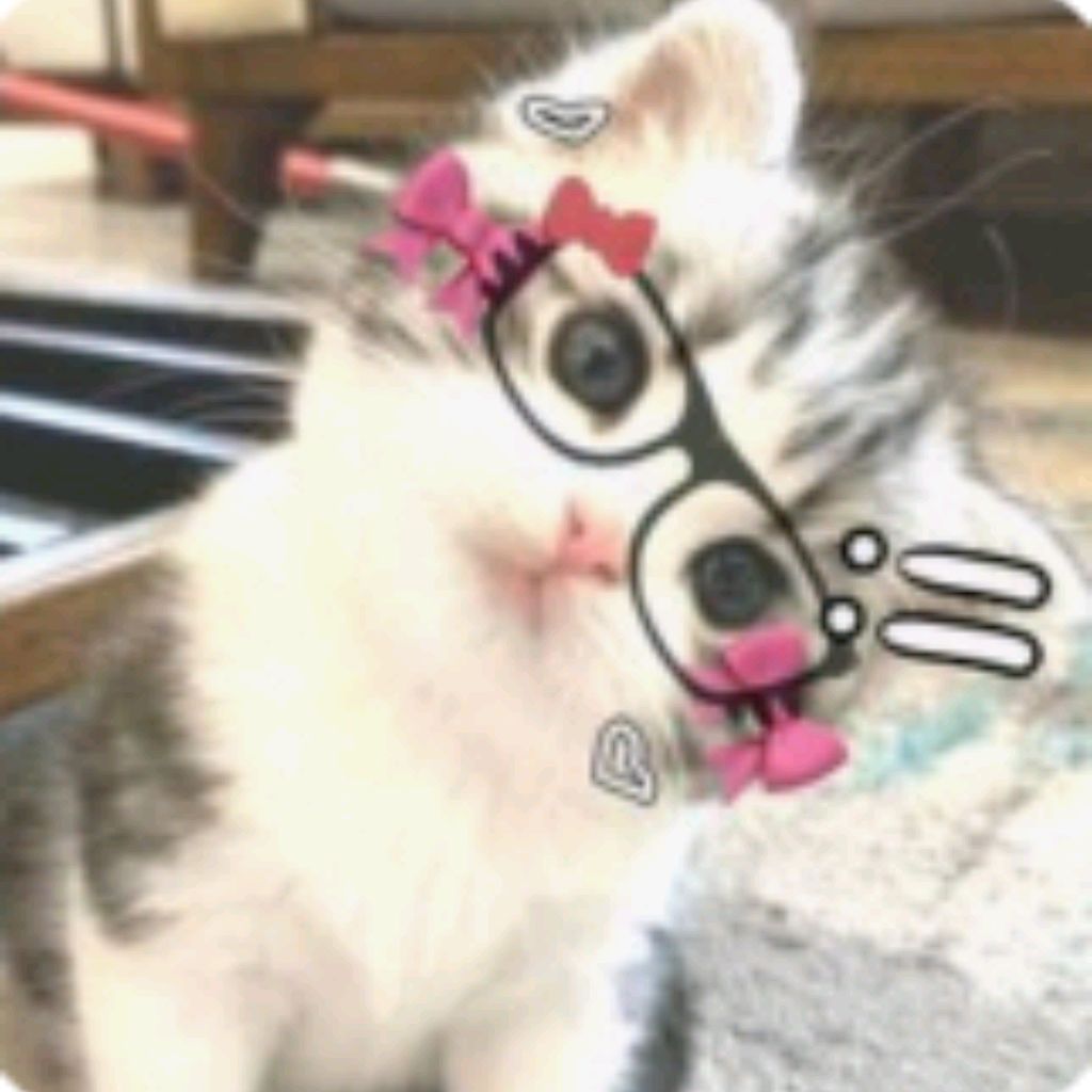 Kotik_kiss°me!¡💗