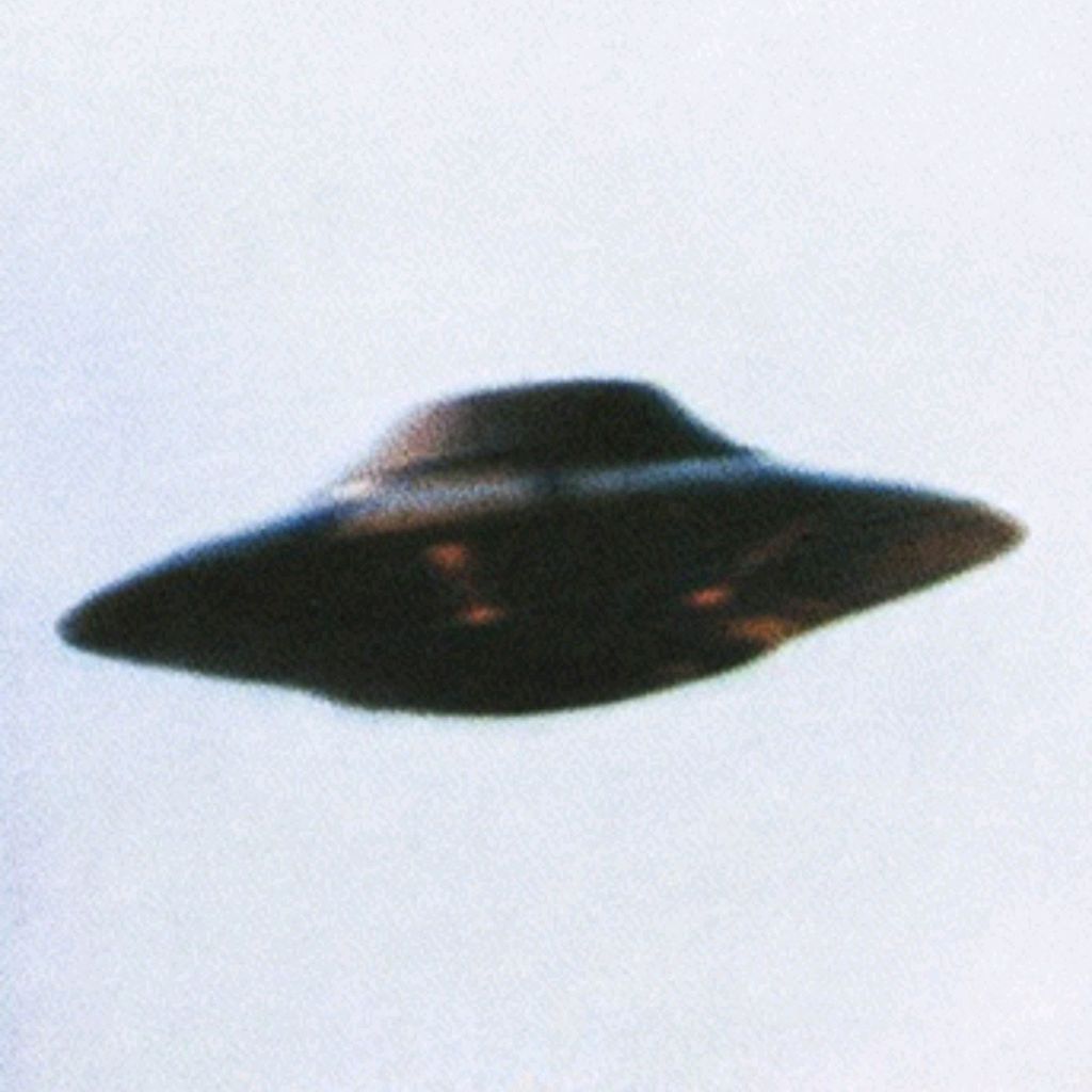 prospector