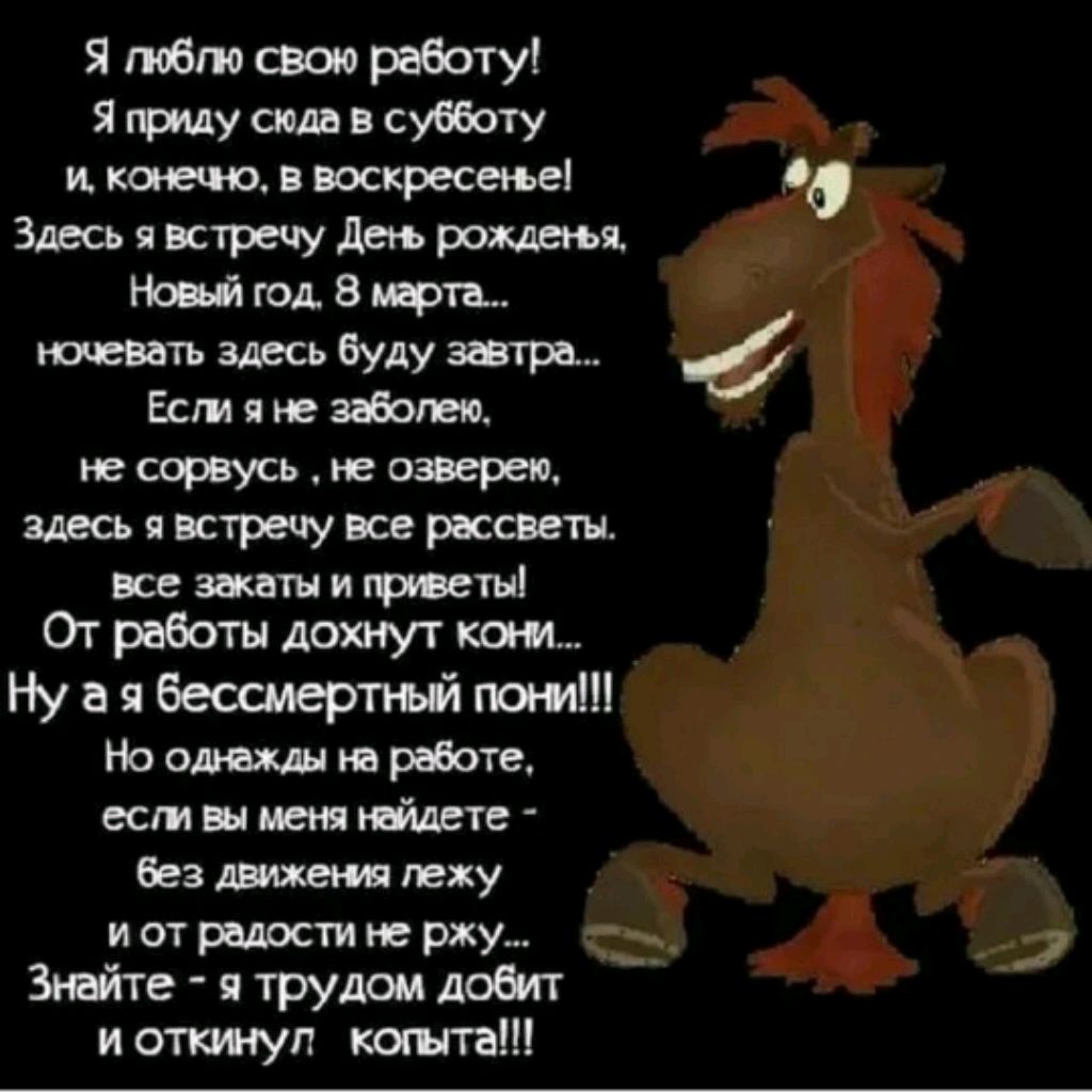Dino Тоp