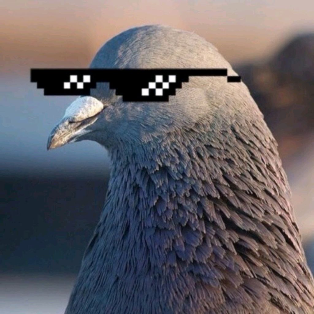 Гига голубь 😎