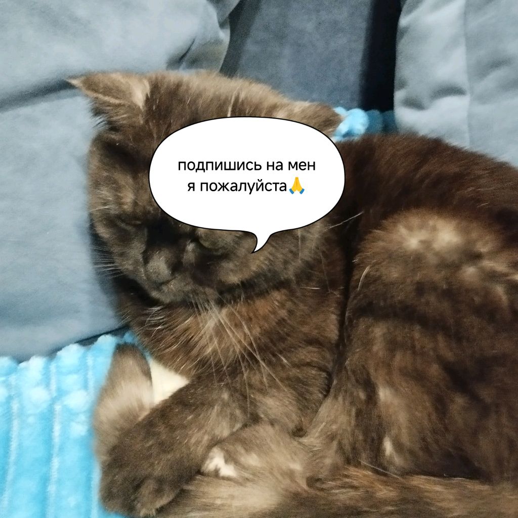 Что за фигня!?