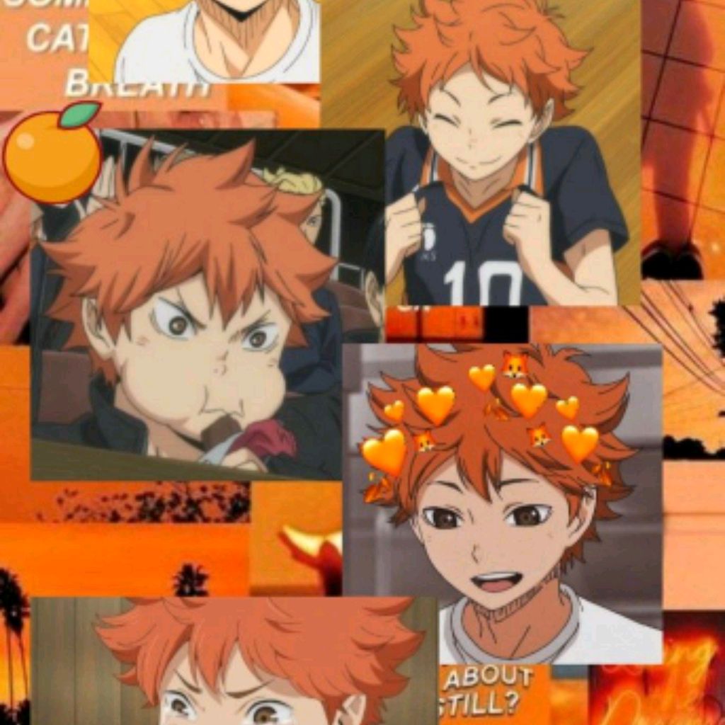 Shoyo Hinata