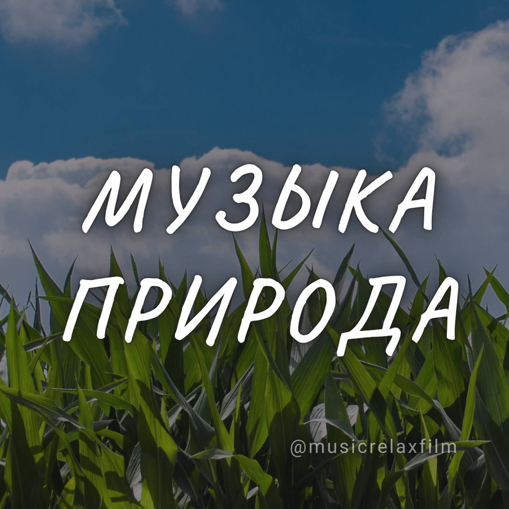 Расслабляющая природа и музыка 4К