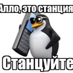 channel47165440