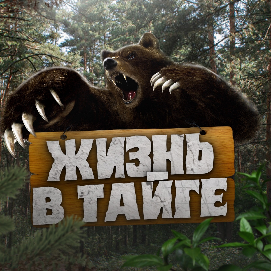 жизнь в тайге