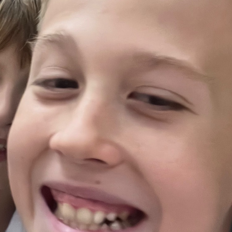 Gnidin _Fedor