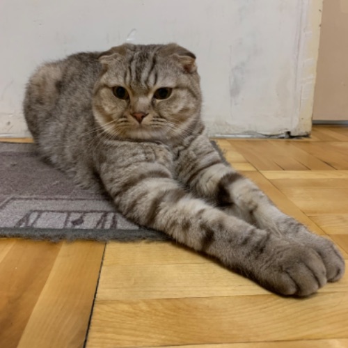 Хлопунов М.