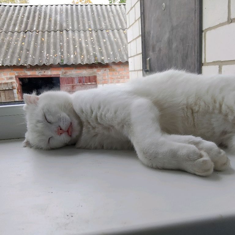 Камилла 💗