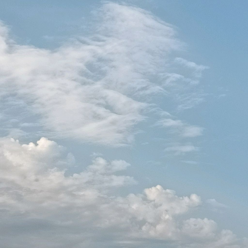 channel29063947