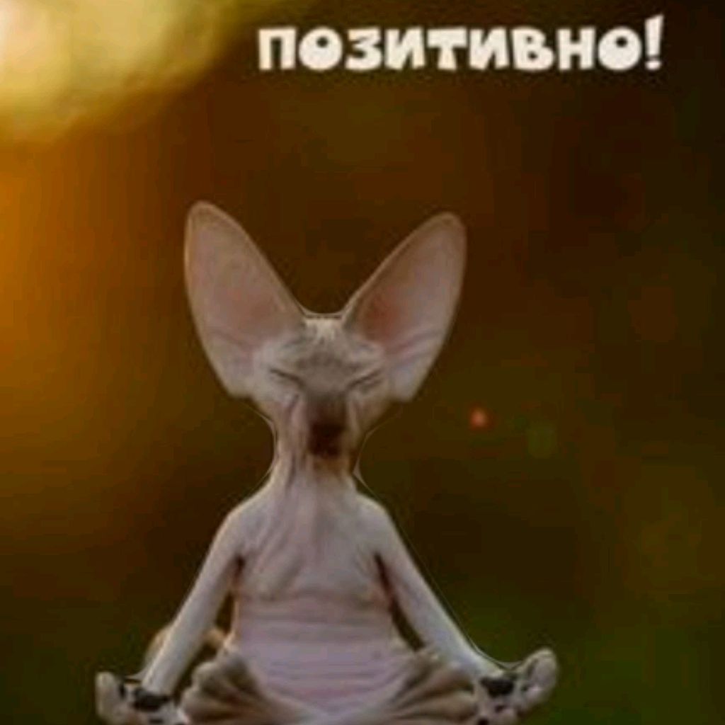 Турчак