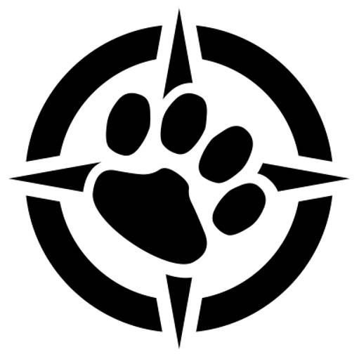 🐾 Одинокий следопыт