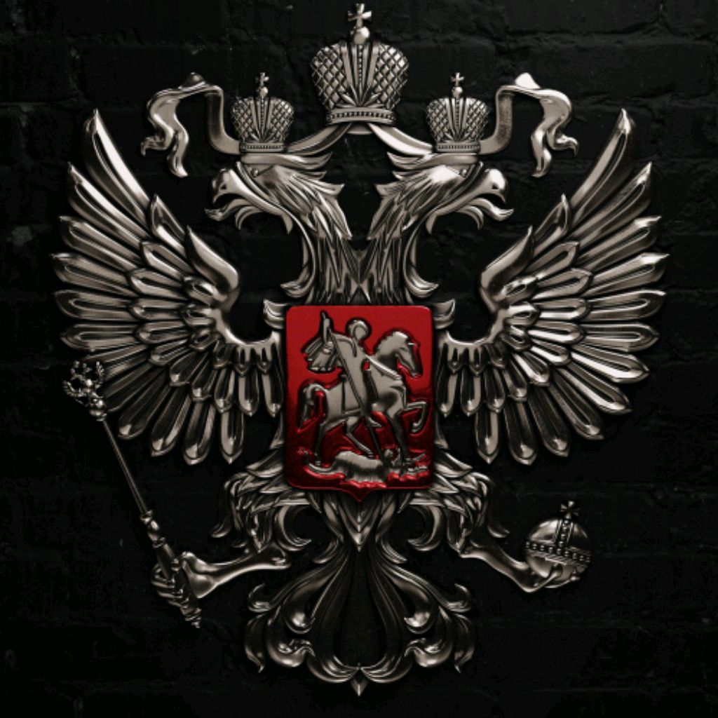 Mvvs1224