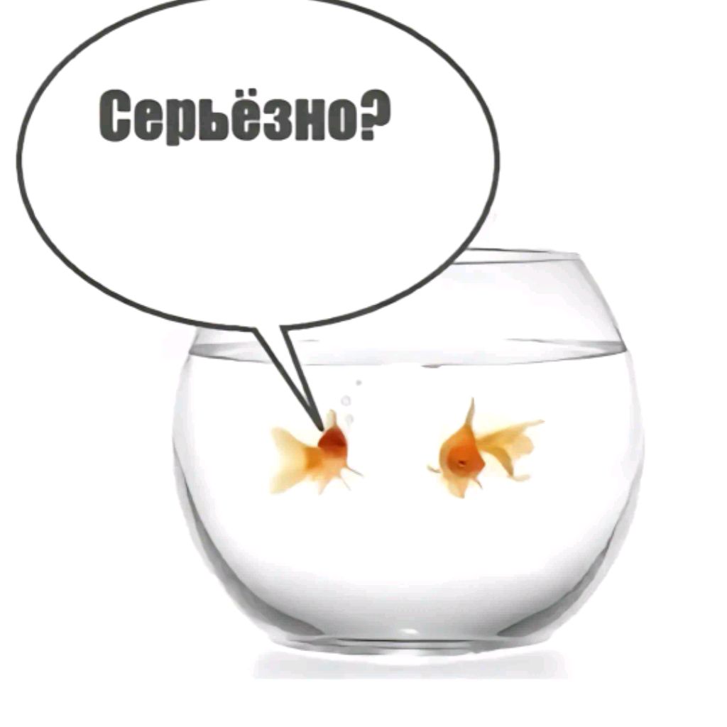 Bonjorno