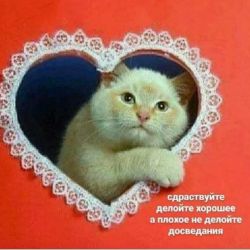 РазвиваемсяВместе