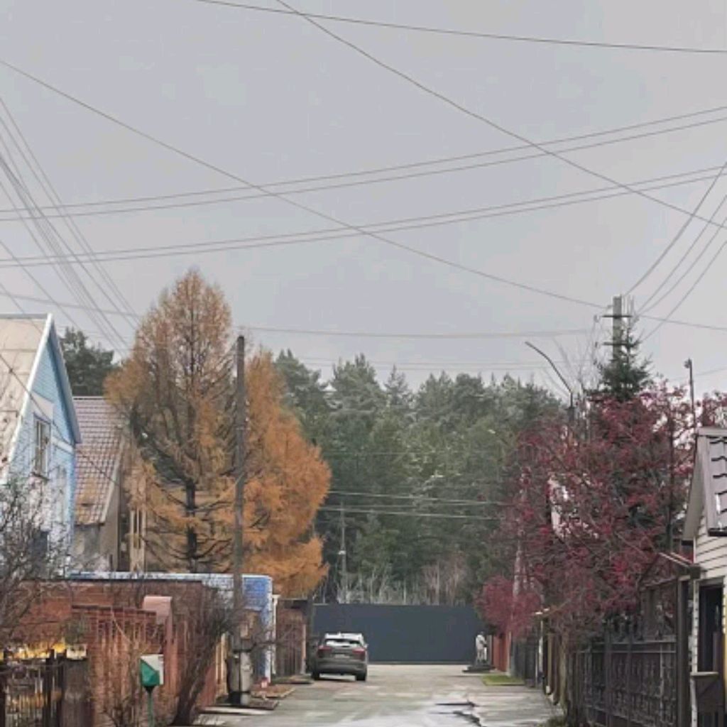 Нюся