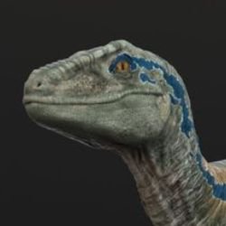 Raptor