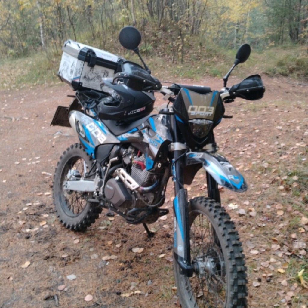 Тюлень