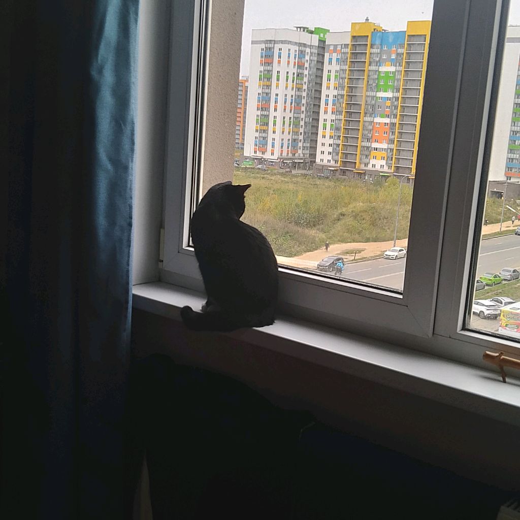 Сухой сталкер