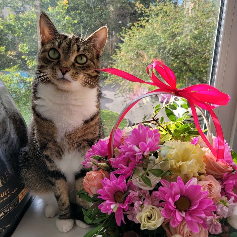 🎀ДЕВЧАТА🎀