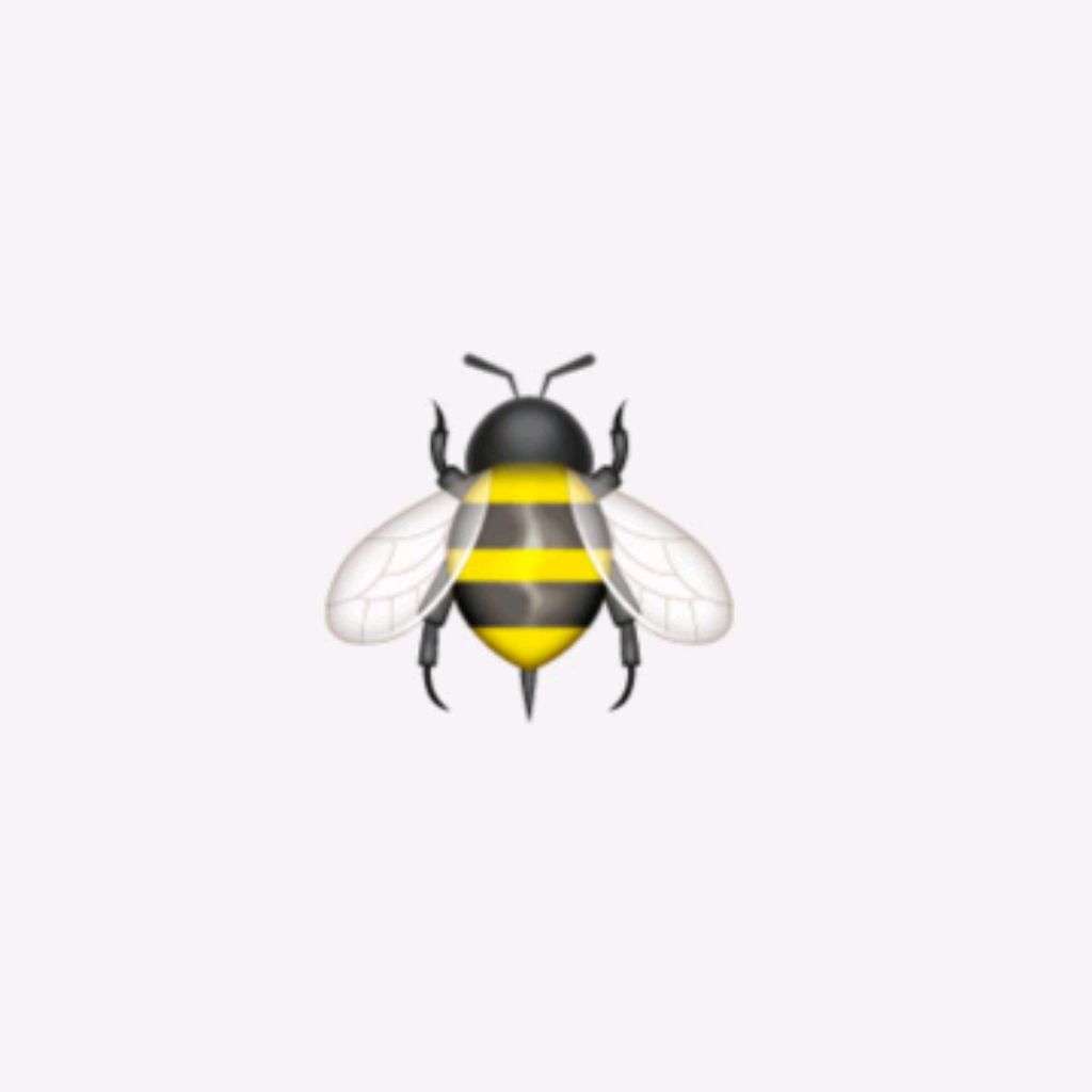 🐝МАША🐝