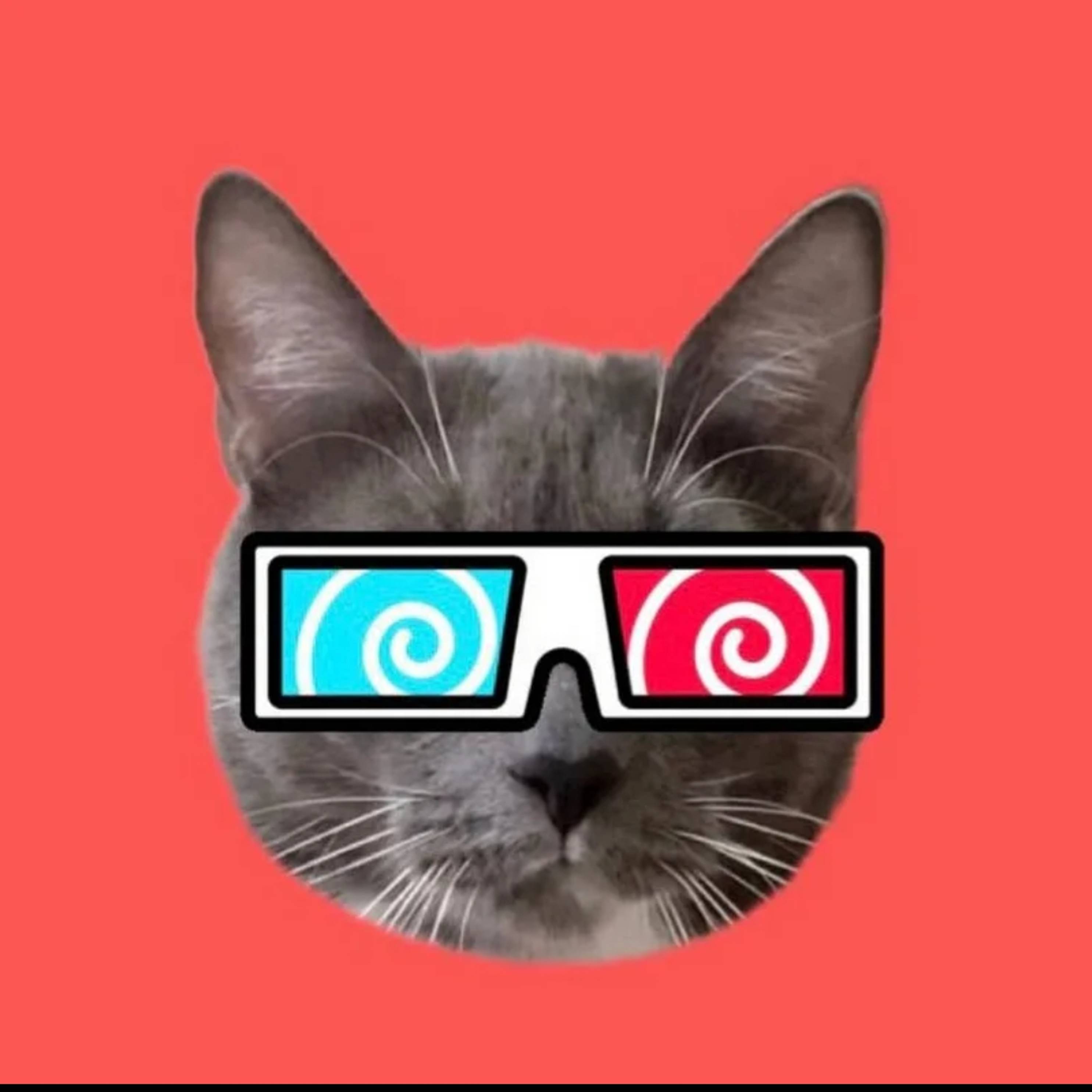 KOtYiNeT😺😼