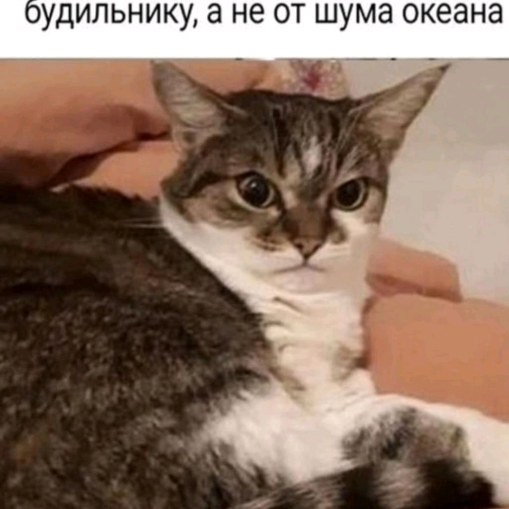 Денис 2524862デニス