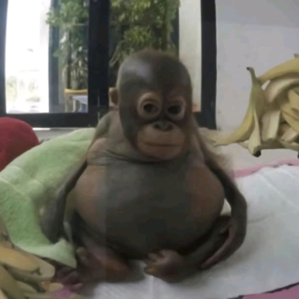 непиво