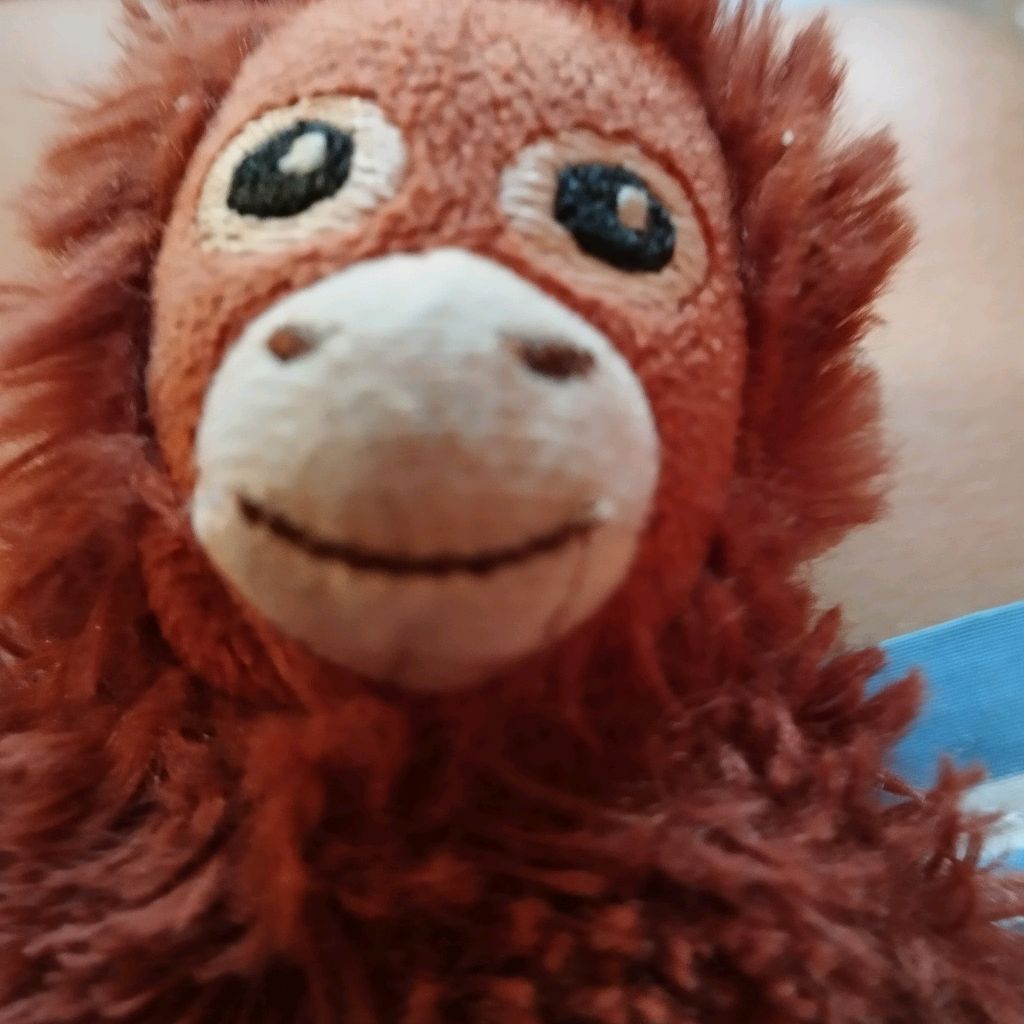 Monkey
