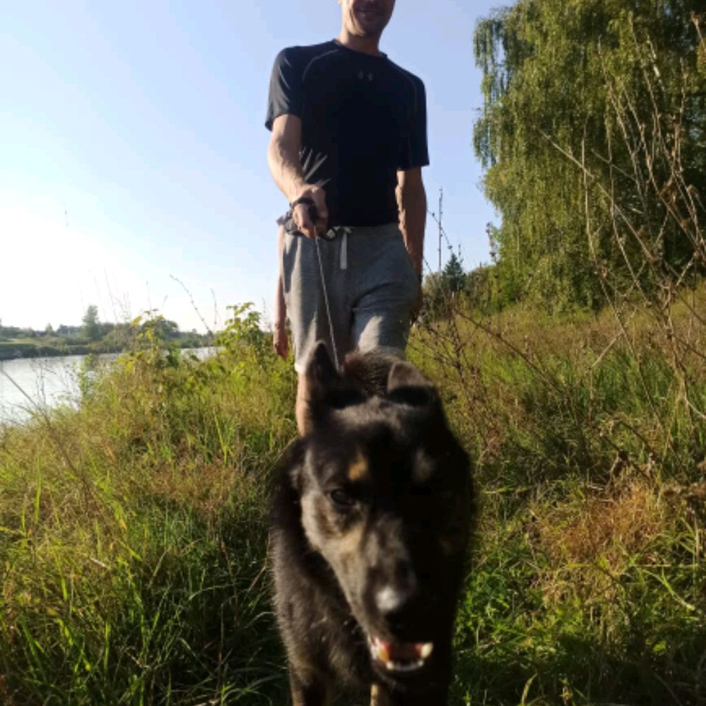 ВЛОМ