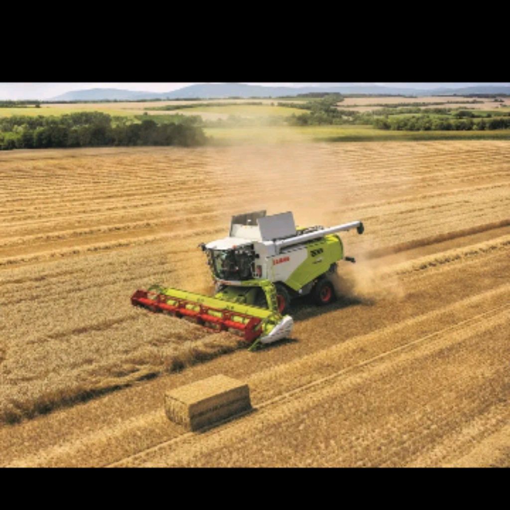 t.me/zclaas