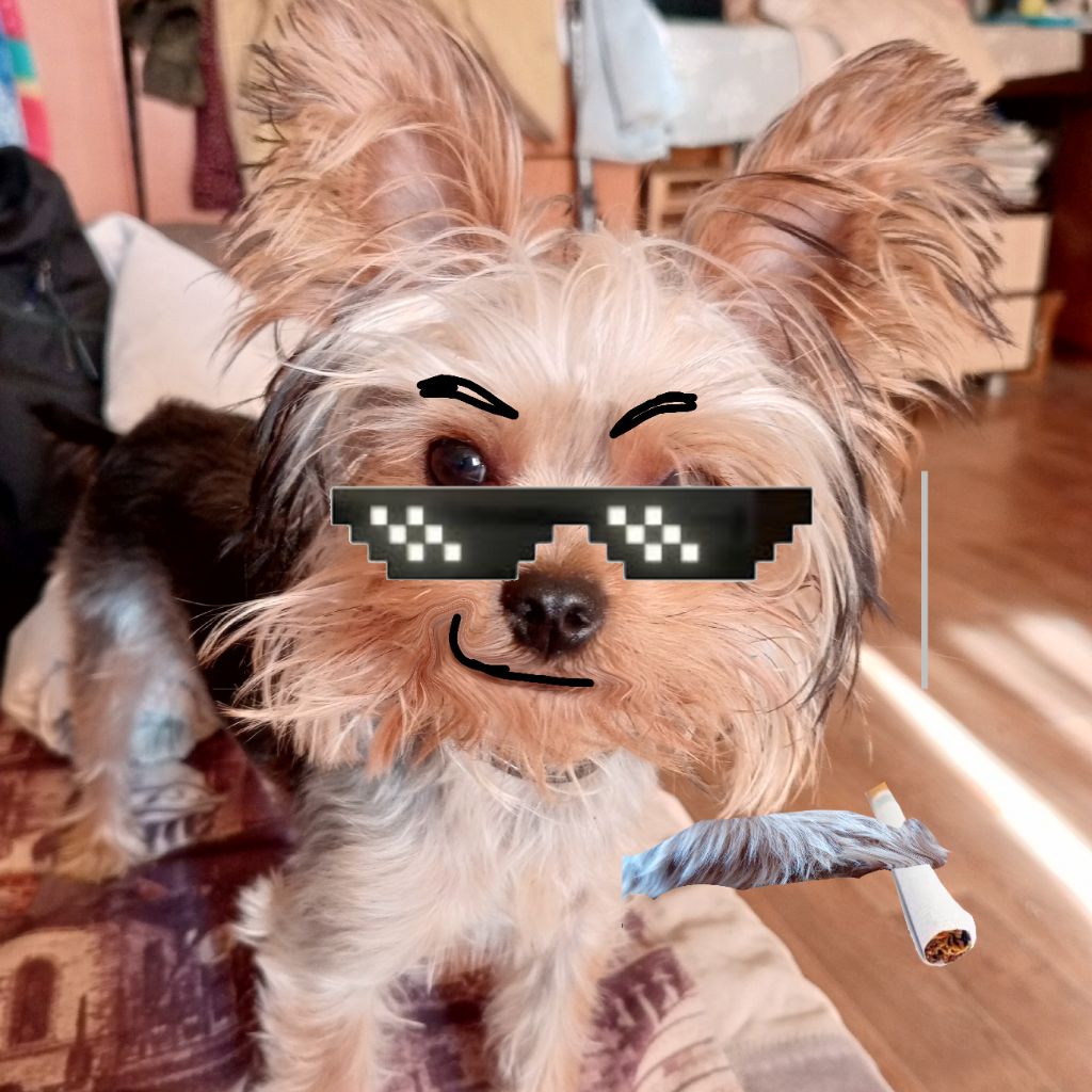 Anton_gfgfgf