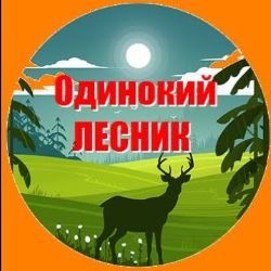 Лес и Одинокий ЛЕСНИК