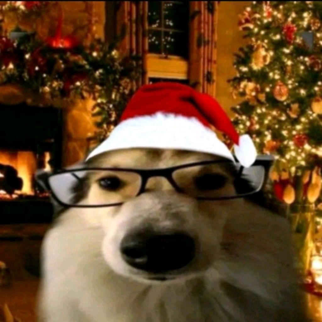 Fanloloeugene