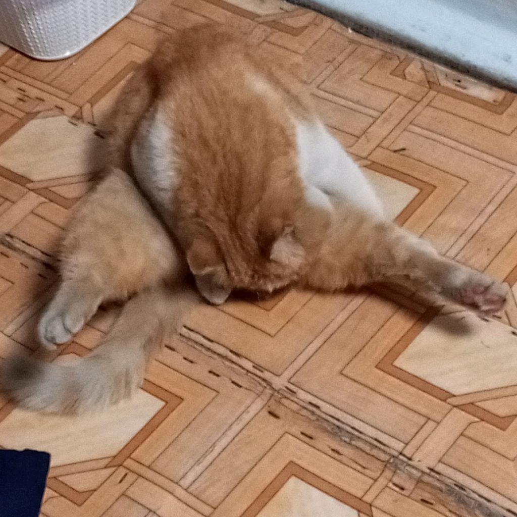 Рил