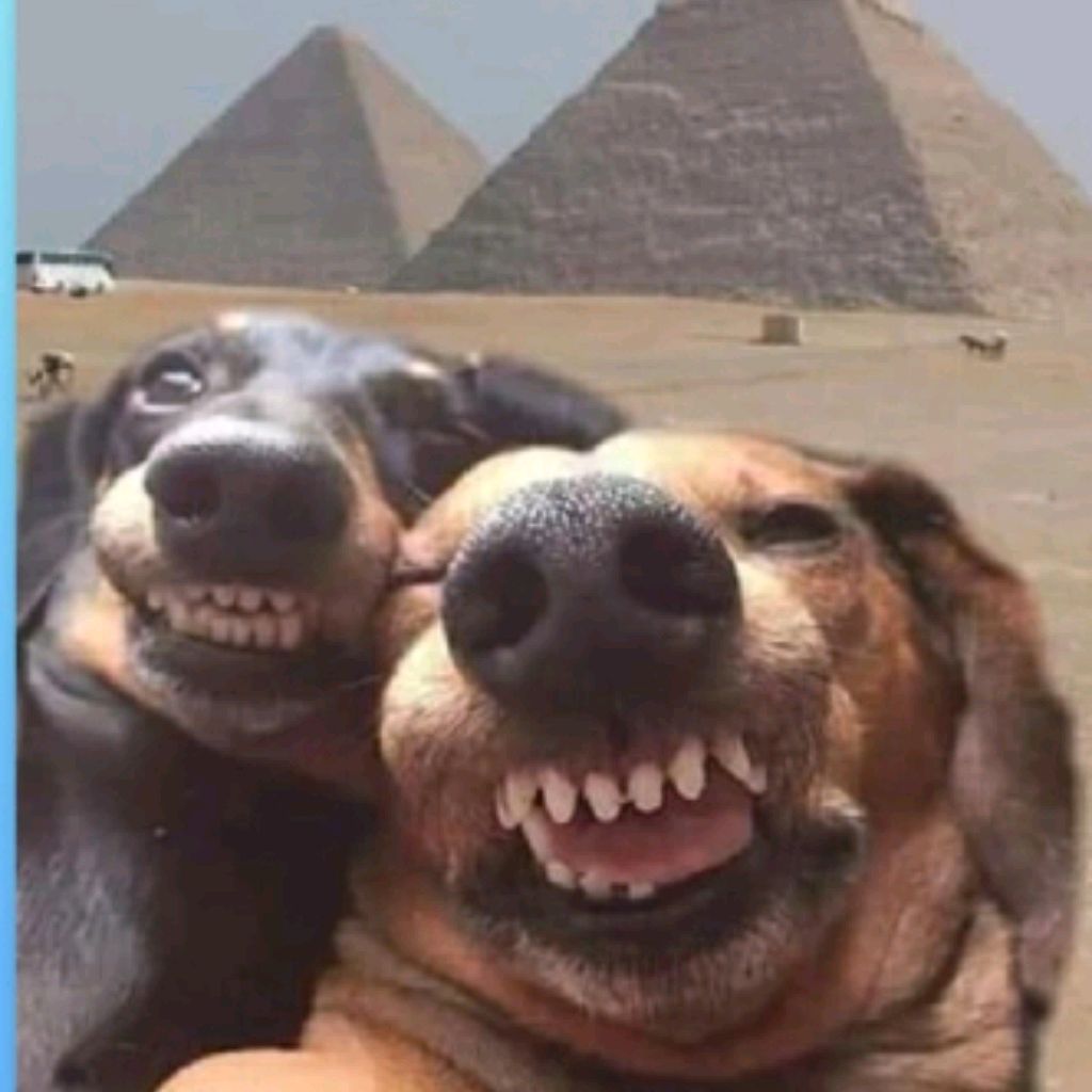 Калян