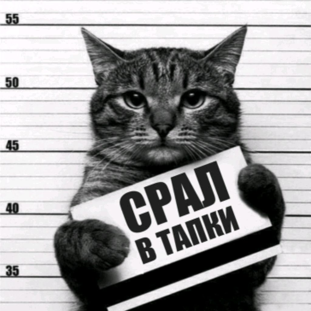 Рамсес Великий🫥