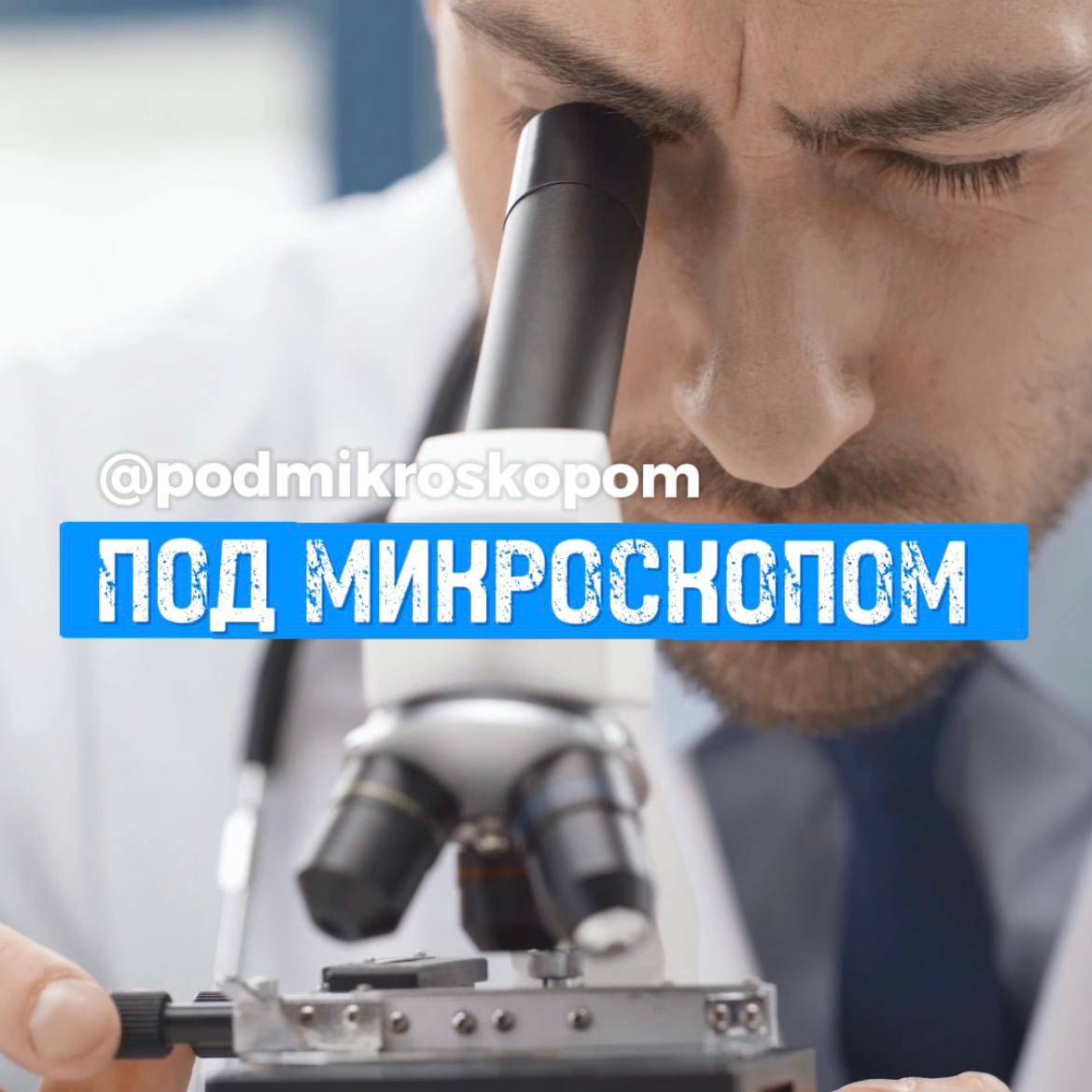 Под микроскопом 🔬