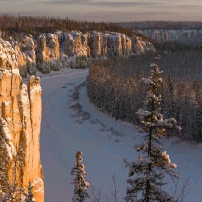 awesome_yakutia
