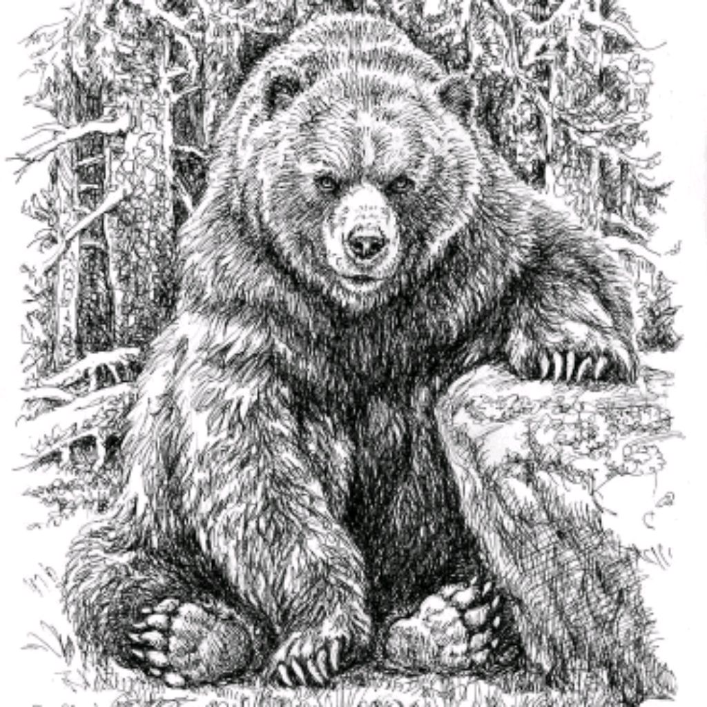 Шаим