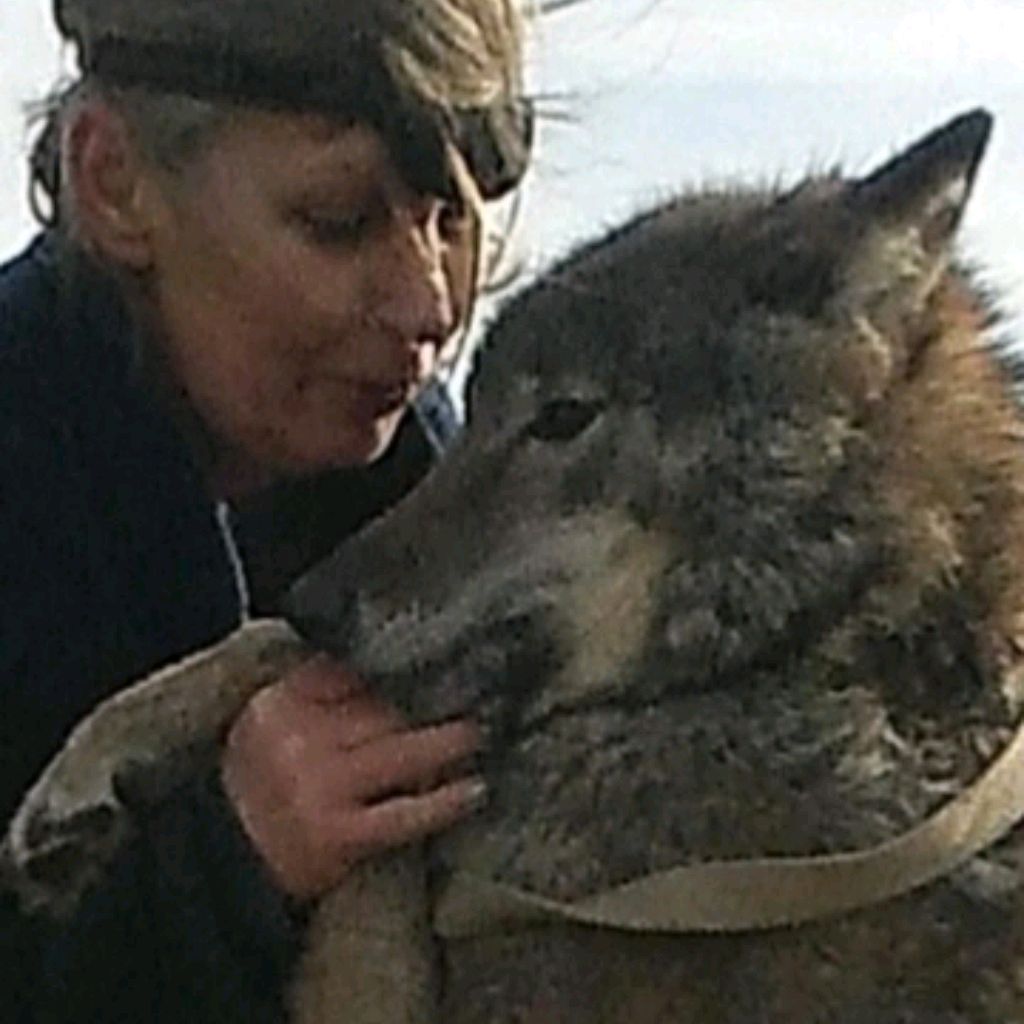 Анжелика- Волчиха . Счастье с Хвостиком