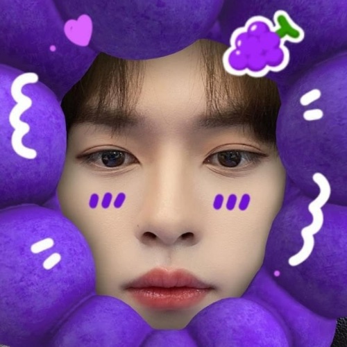 Stay🥟