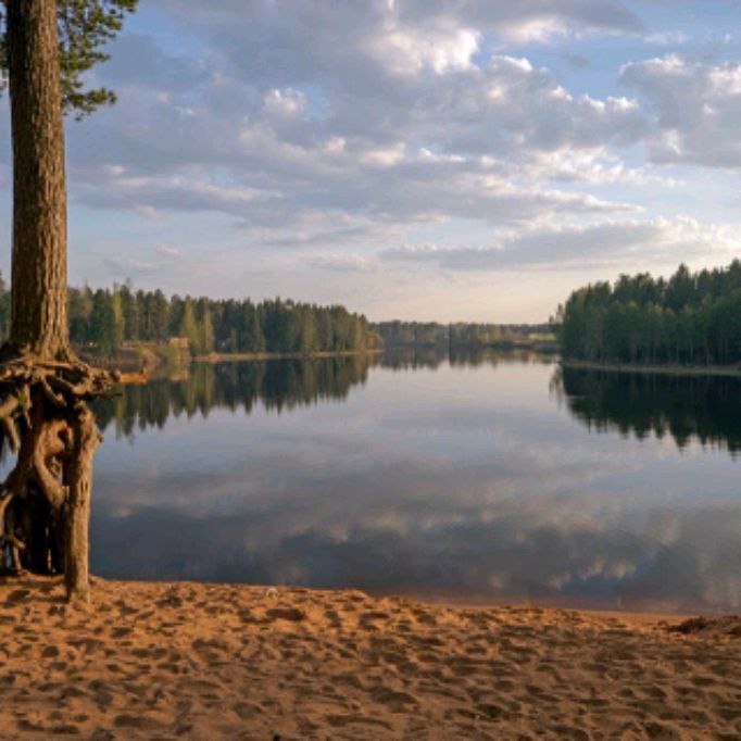 Лесник