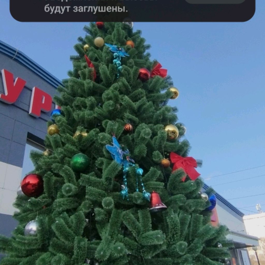 Видимо про всё